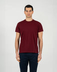 T-shirt jersey di cotone bio washed regular fit